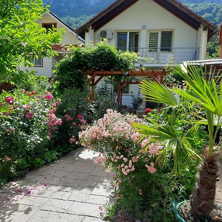 Pension Eden Băile Herculane Exteriér fotografie