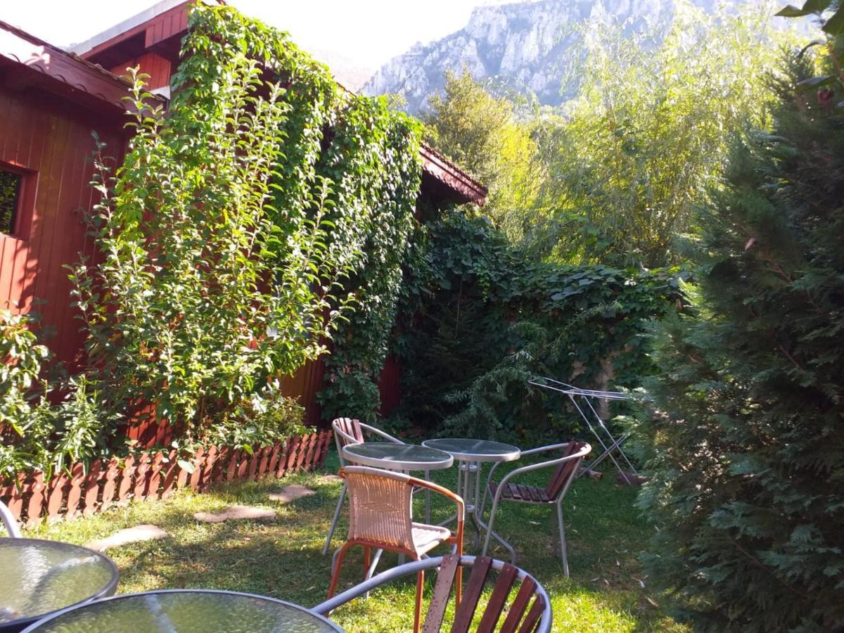 Pension Eden Băile Herculane Exteriér fotografie