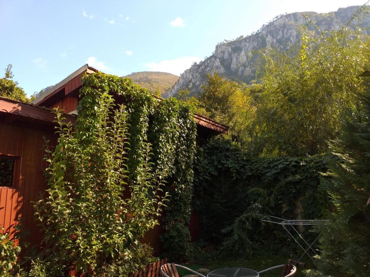 Pension Eden Băile Herculane Exteriér fotografie