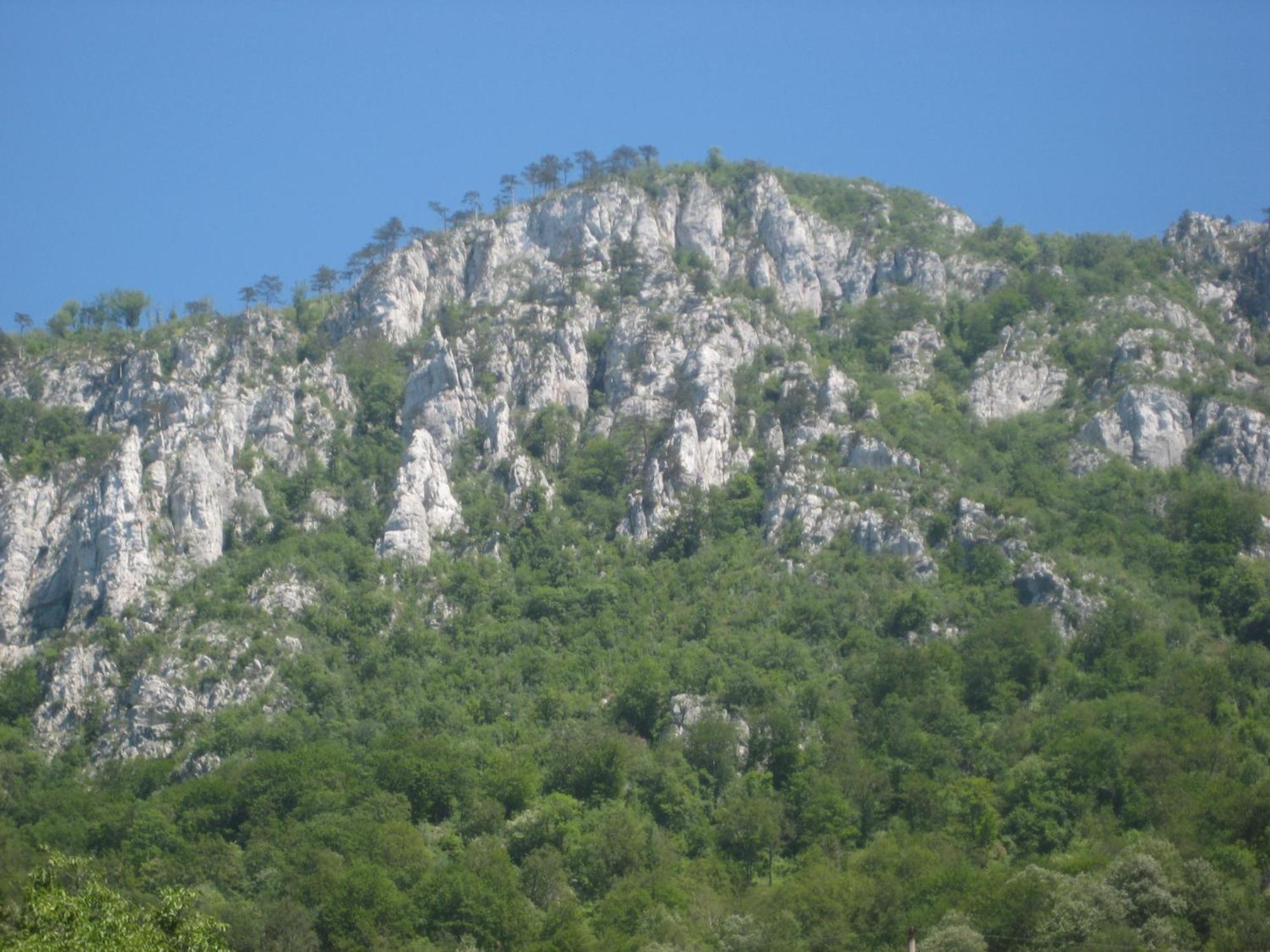 Pension Eden Băile Herculane Exteriér fotografie