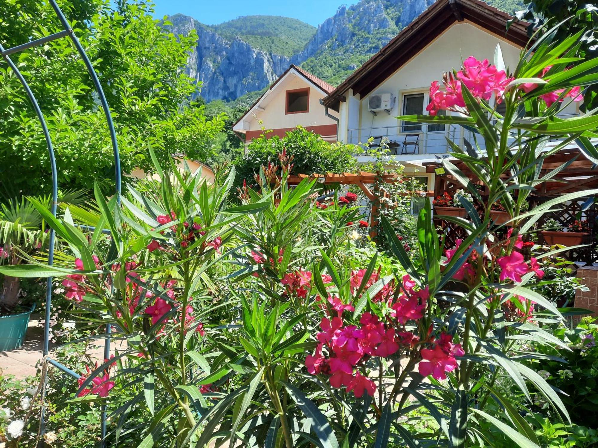 Pension Eden Băile Herculane Exteriér fotografie