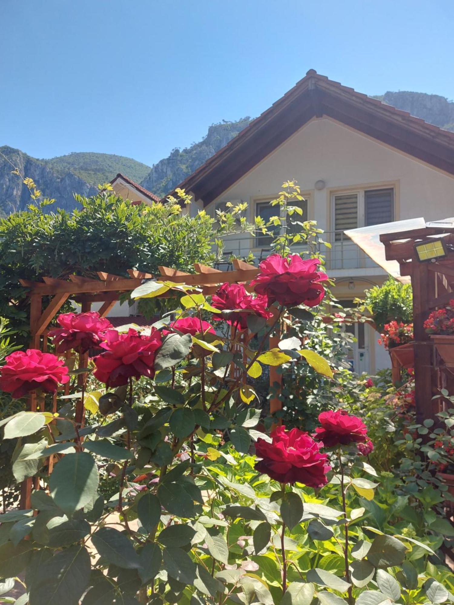 Pension Eden Băile Herculane Exteriér fotografie