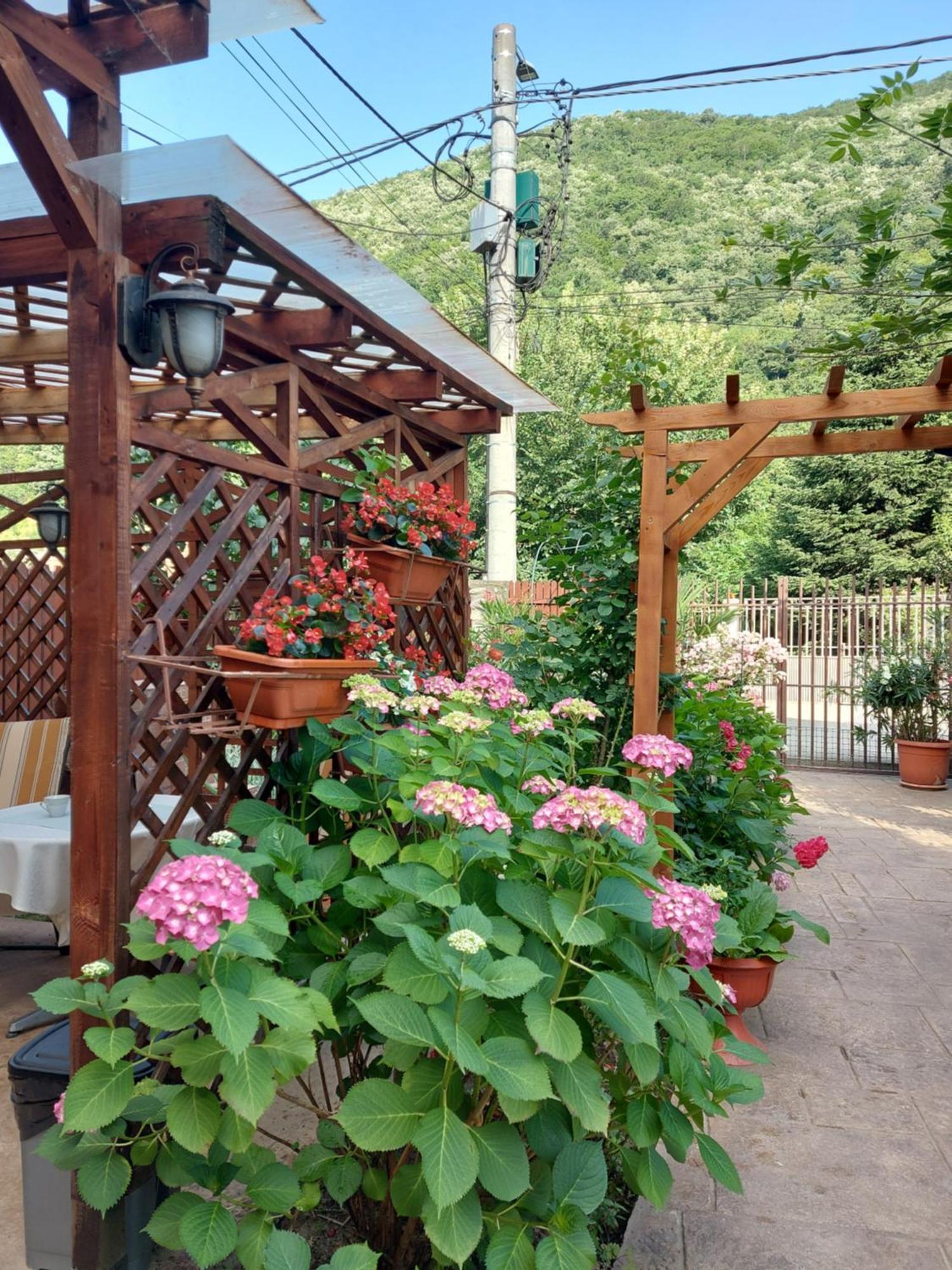 Pension Eden Băile Herculane Exteriér fotografie