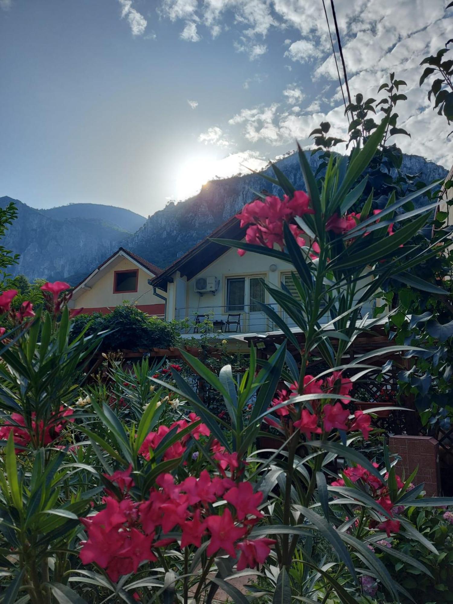 Pension Eden Băile Herculane Exteriér fotografie