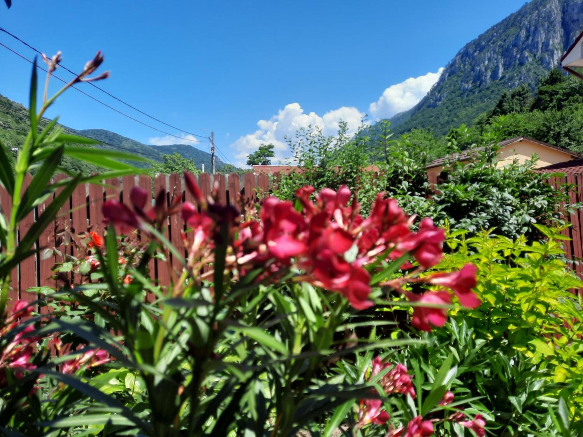 Pension Eden Băile Herculane Exteriér fotografie